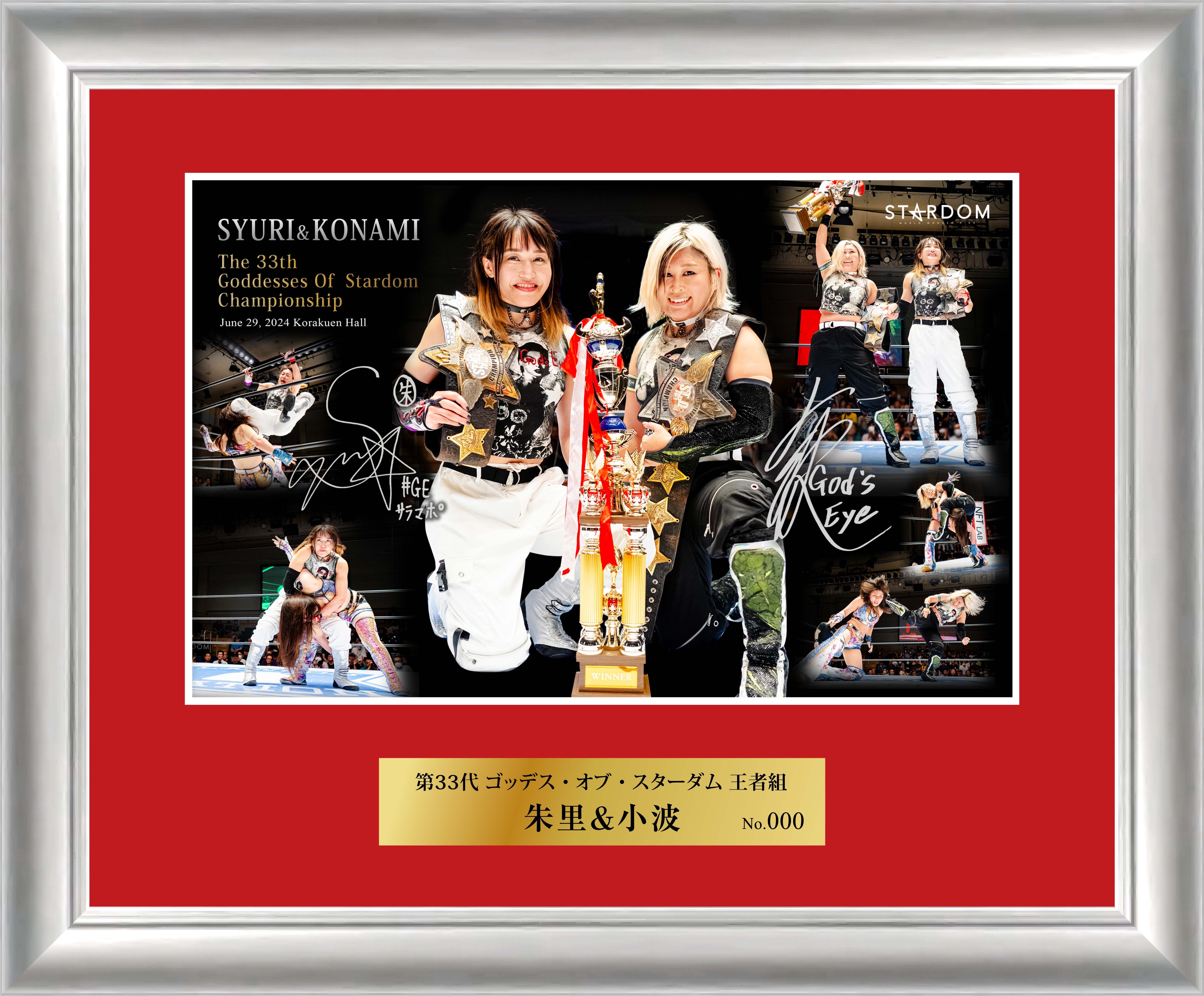 STARDOM スターダム 最前席 VIP席 特典 絵画風フォトパネル② - スポーツ